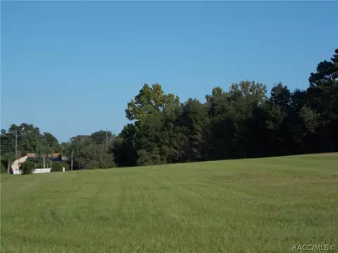 973 E Triple Crown Loop, Hernando, FL 34442 photo 3