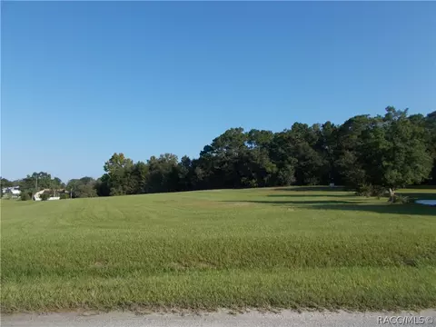 973 E Triple Crown Loop, Hernando, FL 34442 photo 5
