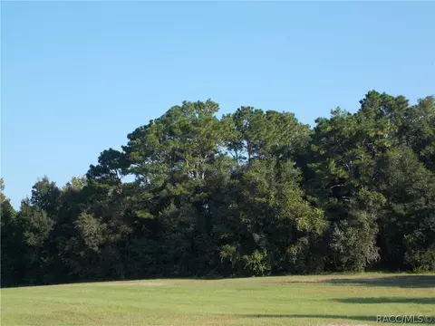973 E Triple Crown Loop, Hernando, FL 34442 photo 6