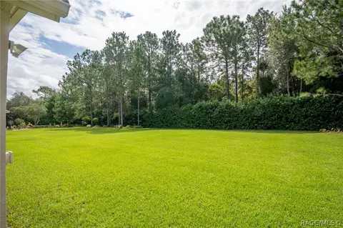 1602 W Laurel Glen Path, Hernando, FL 34442 photo 8