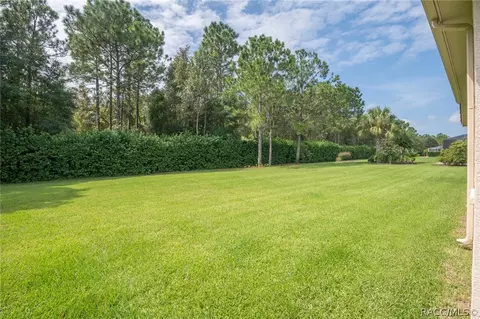 1602 W Laurel Glen Path, Hernando, FL 34442 photo 9