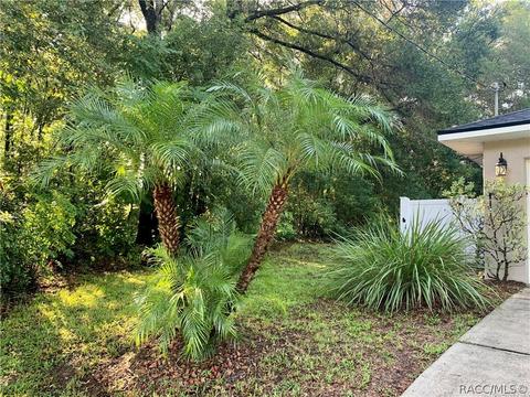 205 Wright St, Inverness, FL 34452 photo 30