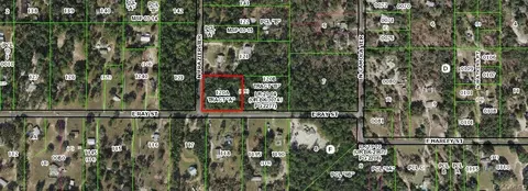 1847 N Frazier Ter, Hernando, FL 34442 photo 5