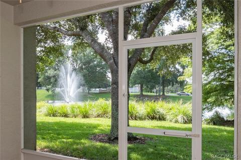 1684 W Spring Meadow Loop, Lecanto, FL 34461 photo 9