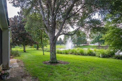 1684 W Spring Meadow Loop, Lecanto, FL 34461 photo 8