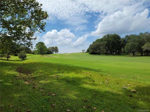 297 W Redsox Path, Hernando, FL 34442 photo 7
