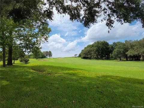 297 W Redsox Path, Hernando, FL 34442 photo 1