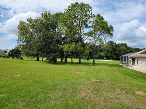 297 W Redsox Path, Hernando, FL 34442 photo 11