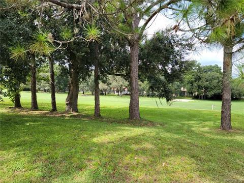 297 W Redsox Path, Hernando, FL 34442 photo 13