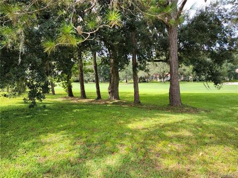 297 W Redsox Path, Hernando, FL 34442 photo 15