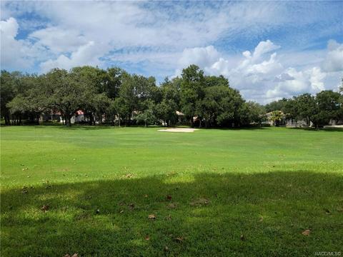 297 W Redsox Path, Hernando, FL 34442 photo 16