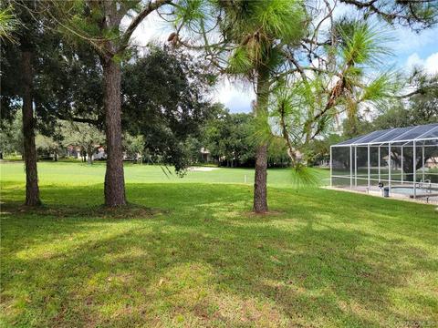 297 W Redsox Path, Hernando, FL 34442 photo 14