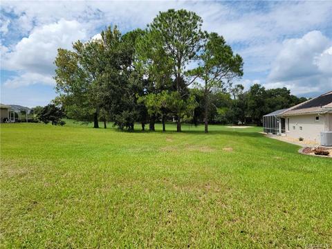 297 W Redsox Path, Hernando, FL 34442 photo 6
