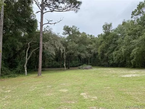 3220 E Deanna Ct, Hernando, FL 34442 photo 10