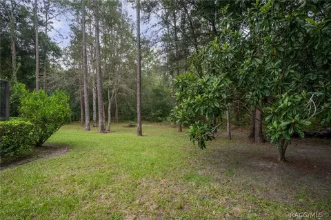 1101 W Redding St, Hernando, FL 34442 photo 7