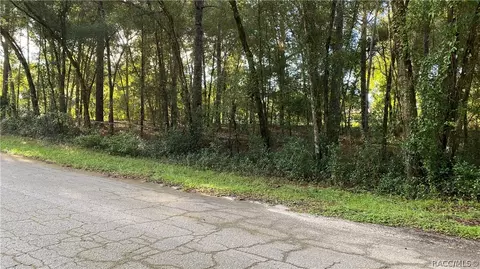 6360 E Mobile St, Inverness, FL 34452 photo 4
