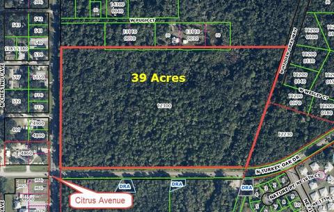 3607 N Citrus Ave, Crystal River, FL 34428