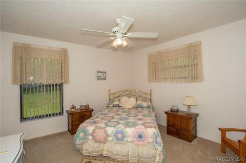 718 E Buckingham Dr, Lecanto, FL 34461 photo 23