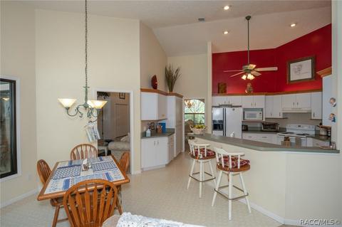 718 E Buckingham Dr, Lecanto, FL 34461 photo 12