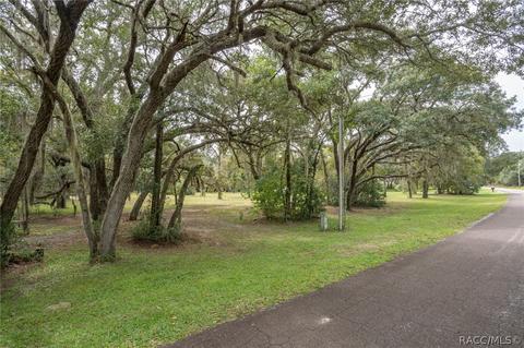 718 E Buckingham Dr, Lecanto, FL 34461 photo 49