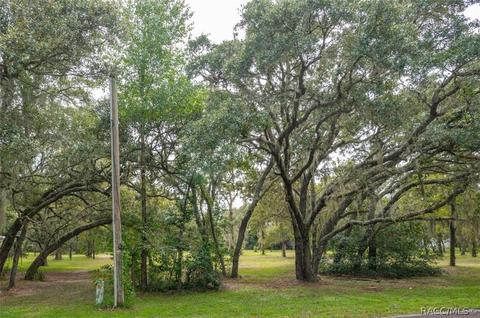 718 E Buckingham Dr, Lecanto, FL 34461 photo 48