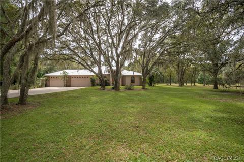 718 E Buckingham Dr, Lecanto, FL 34461 photo 47