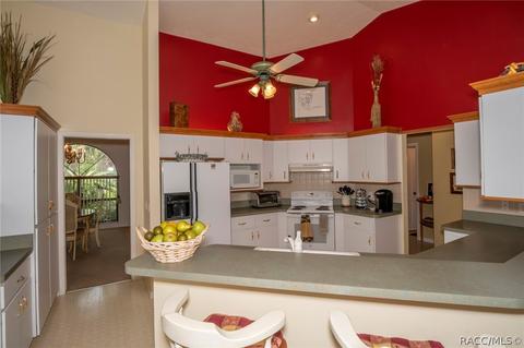 718 E Buckingham Dr, Lecanto, FL 34461 photo 10
