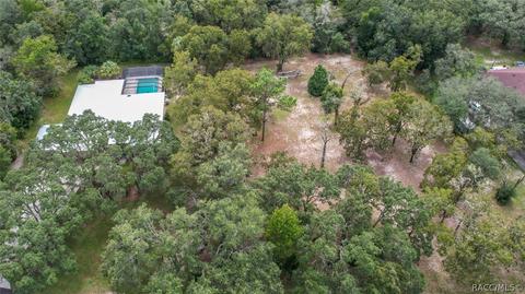 718 E Buckingham Dr, Lecanto, FL 34461 photo 44
