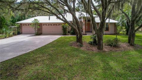 718 E Buckingham Dr, Lecanto, FL 34461 photo 41