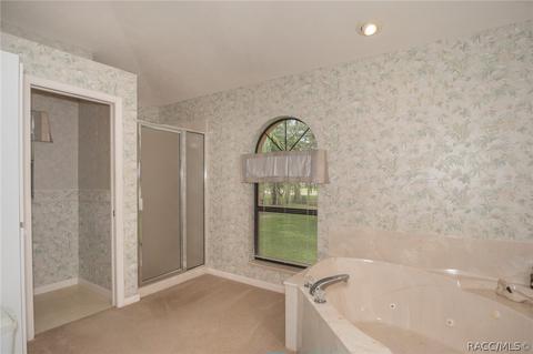 718 E Buckingham Dr, Lecanto, FL 34461 photo 22