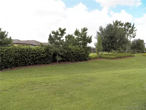 9656 SW 63rd Loop, Ocala, FL 34481 photo 4
