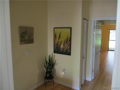 370 E Glassboro Ct #4B, Hernando, FL 34442 photo 33