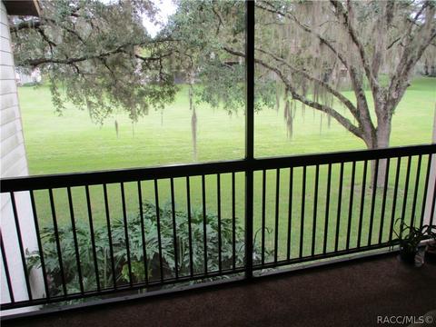 370 E Glassboro Ct #4B, Hernando, FL 34442 photo 29