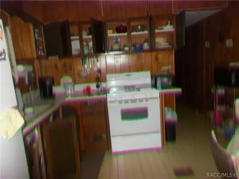 4660 N Remington Ter, Hernando, FL 34442 photo 6