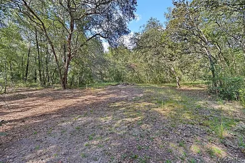 2979 E Millwood Ln, Hernando, FL 34442 photo 34