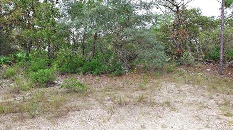 6316 N Hobson Ter, Citrus Springs, FL 34433