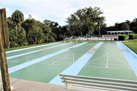 4451 N Webster Island Ter, Hernando, FL 34442 photo 38