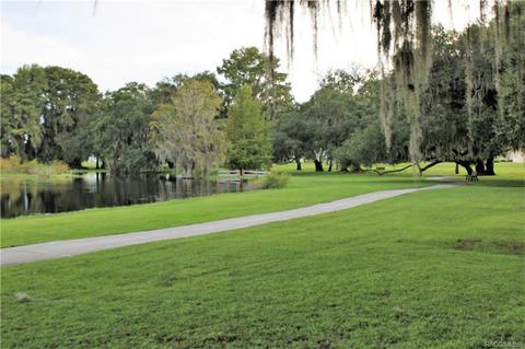 4451 N Webster Island Ter, Hernando, FL 34442 photo 30