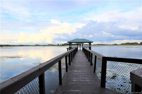 4451 N Webster Island Ter, Hernando, FL 34442 photo 32