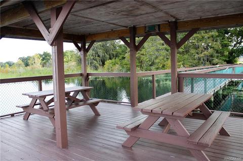 4451 N Webster Island Ter, Hernando, FL 34442 photo 34
