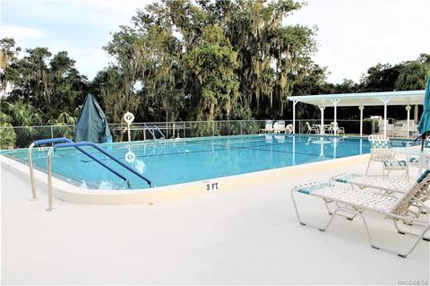 4451 N Webster Island Ter, Hernando, FL 34442 photo 39