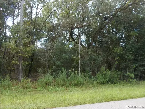 1358 W Pearson St, Hernando, FL 34442 photo 1