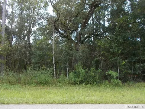 1358 W Pearson St, Hernando, FL 34442 photo 2