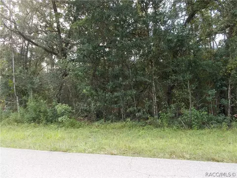 1358 W Pearson St, Hernando, FL 34442 photo 3