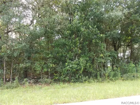 1358 W Pearson St, Hernando, FL 34442 photo 4