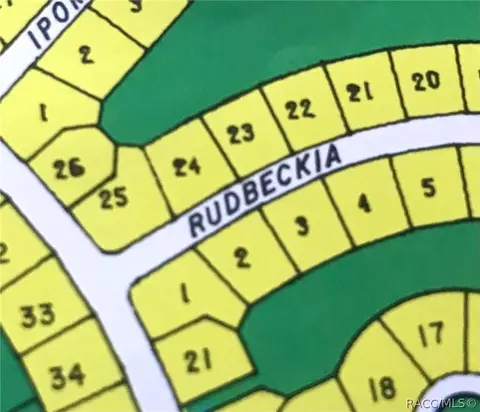 1 Rudbeckia Ct, Homosassa, FL 34446