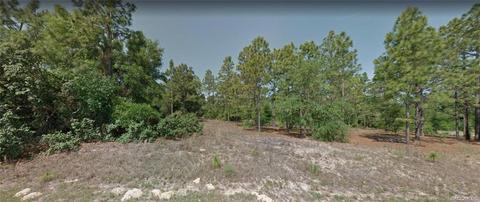 11802 N Shenandoah Way, Citrus Springs, FL 34433