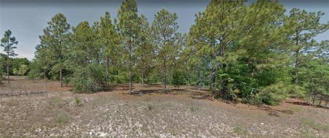 11826 N Shenandoah Way, Citrus Springs, FL 34433