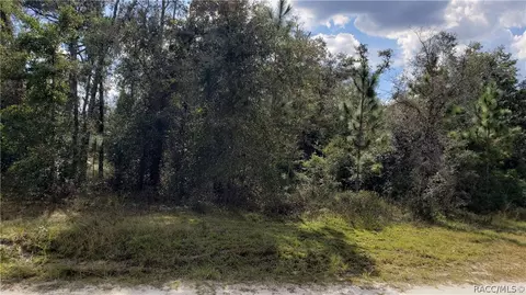 6596 S Gilbert Ter, Lecanto, FL 34461 photo 3