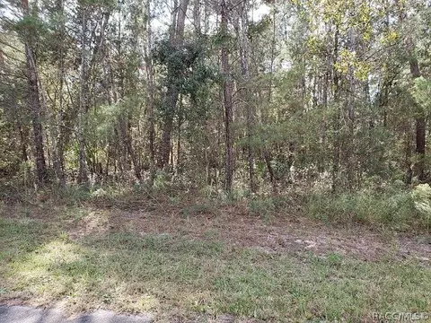 6596 S Gilbert Ter, Lecanto, FL 34461 photo 1